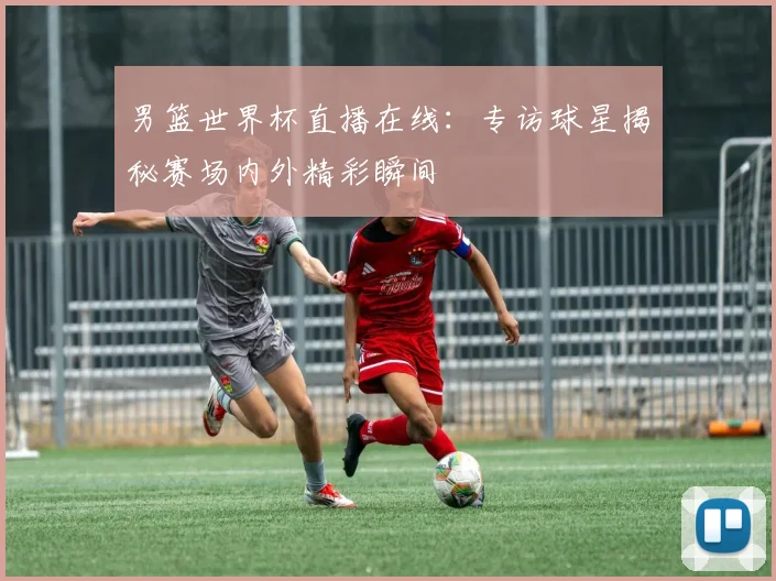 男篮世界杯直播在线:专访球星揭秘赛场内外精彩瞬间