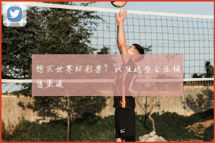 想买世界杯彩票？认准这些合法销售渠道
