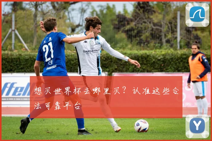 想买世界杯去哪里买？认准这些合法可靠平台
