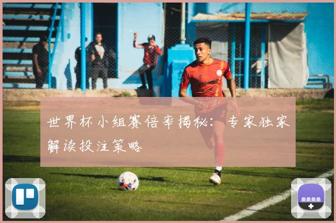 世界杯小组赛倍率揭秘:专家独家解读投注策略