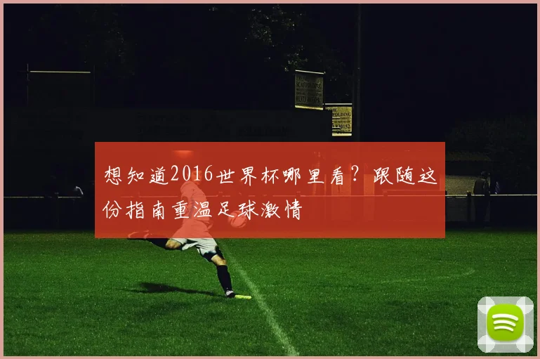 想知道2016世界杯哪里看？跟随这份指南重温足球激情
